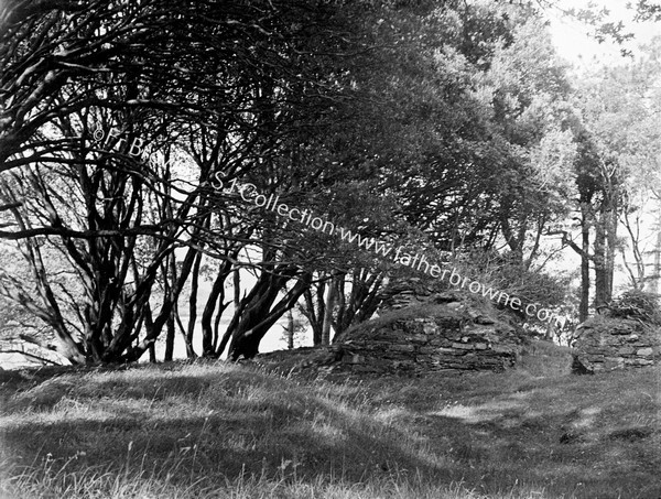 SITE OF DUNBOY CASTLE UNDER TREES